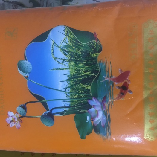 哈尔滨 正宗东北大米批发零售