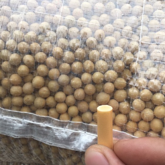 邳州市黄大豆 1等品 生大豆