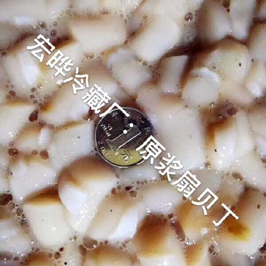 龙口市 渤海湾原浆扇贝丁