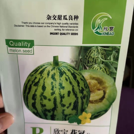 商丘 花皮甜瓜种子