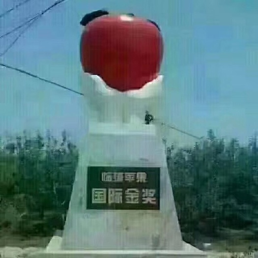 临猗县 正宗临猗苹果