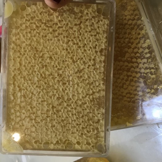 成都 500克百花蜂巢蜜