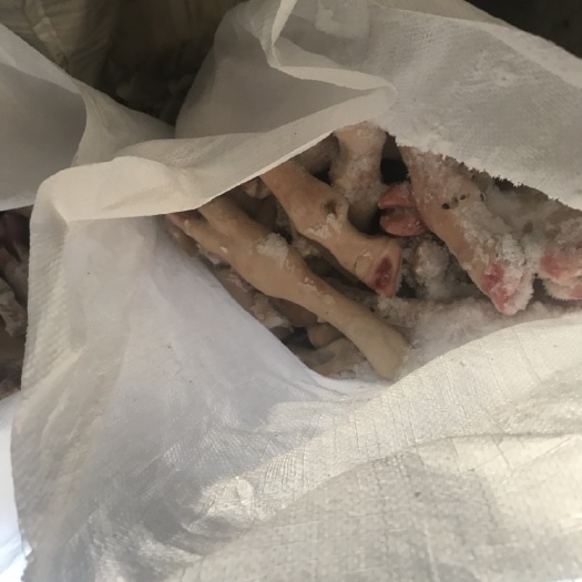 保定羊蹄 每天都出新货