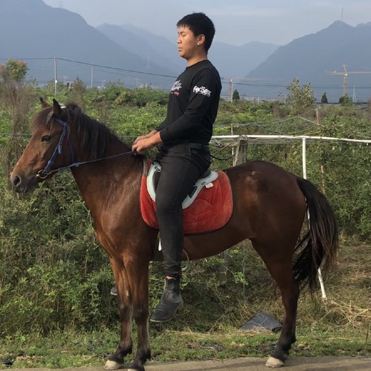 杭州 浙江杭州大马急售