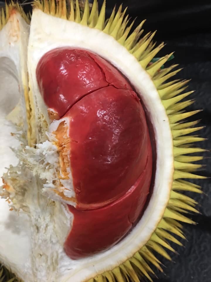  马来西亚红肉榴莲