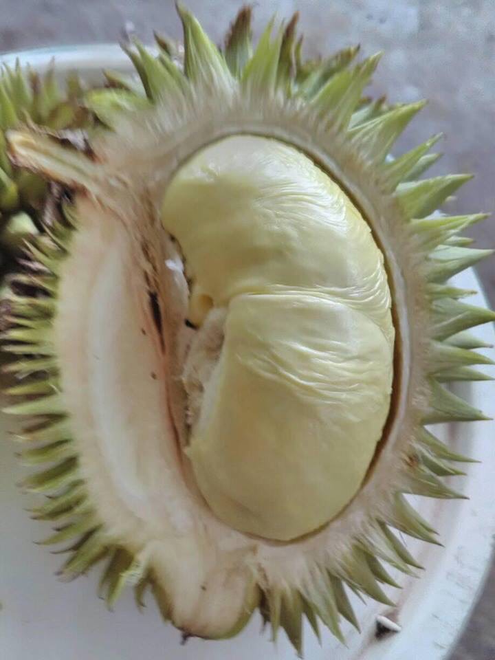  马来西亚红肉榴莲