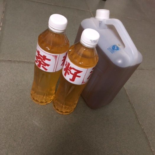 肇庆野生山茶油