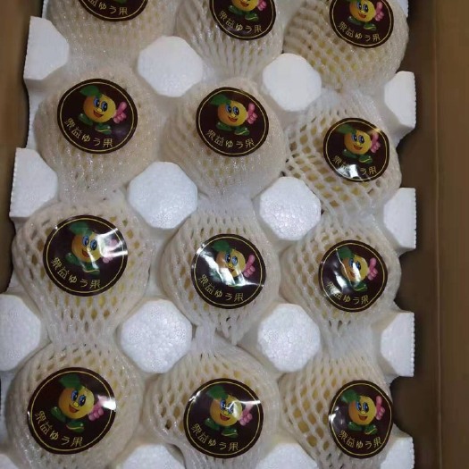 石家庄皇冠梨 75mm以上 200-250g