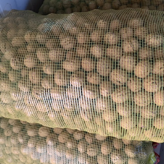 保定香玲核桃