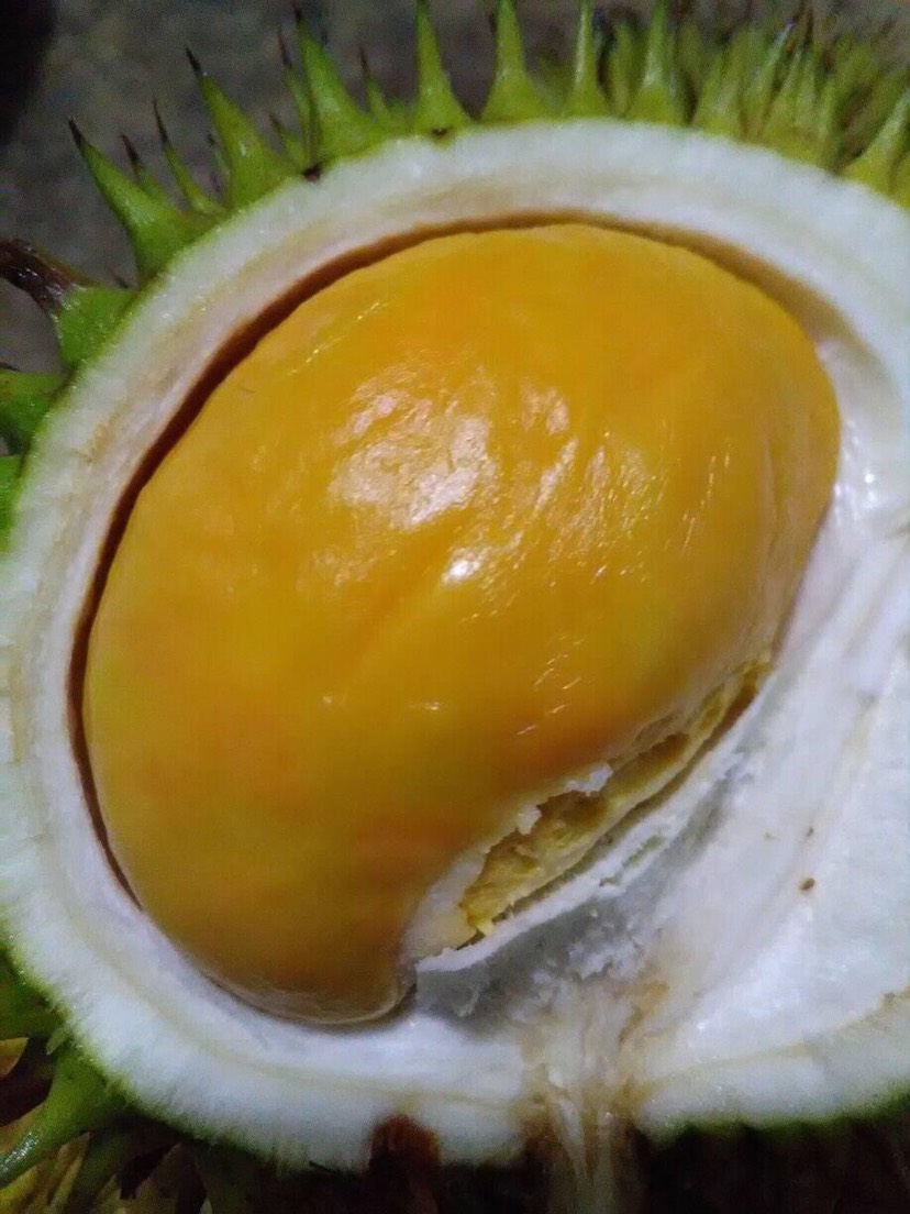  马来西亚红肉榴莲