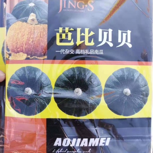 郑州贝贝南瓜种子 芭比贝贝种子