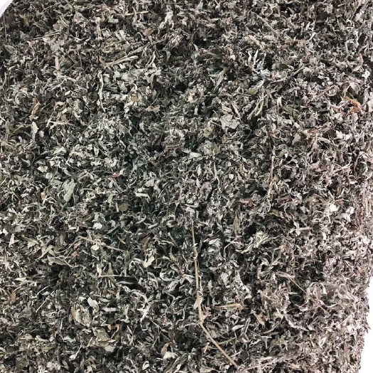 【舜波中药材】艾叶 量大从优 泡脚好处多多
