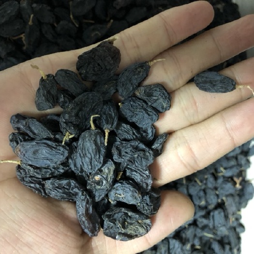乌鲁木齐 新疆吐鲁番市葡萄干