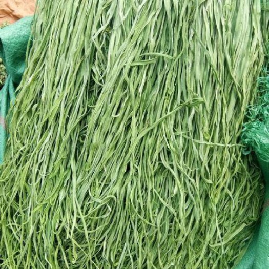 宾川县 大理宾川贡菜干