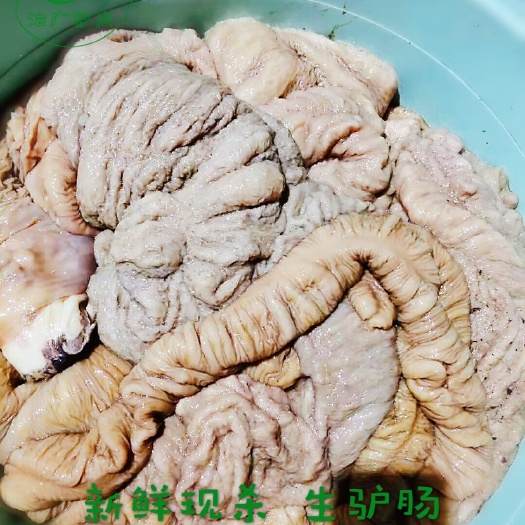龙口市新鲜驴马肠驴马板肠驴杂驴大肠驴肠子驴肚子驴下货鲜现宰真空驴肉
