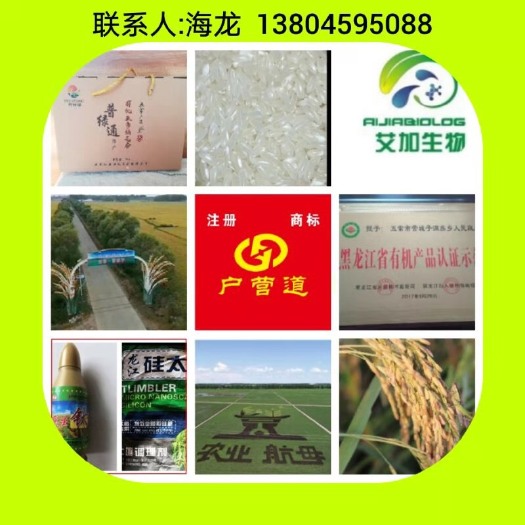 五常市 您健康的选择！有机大米