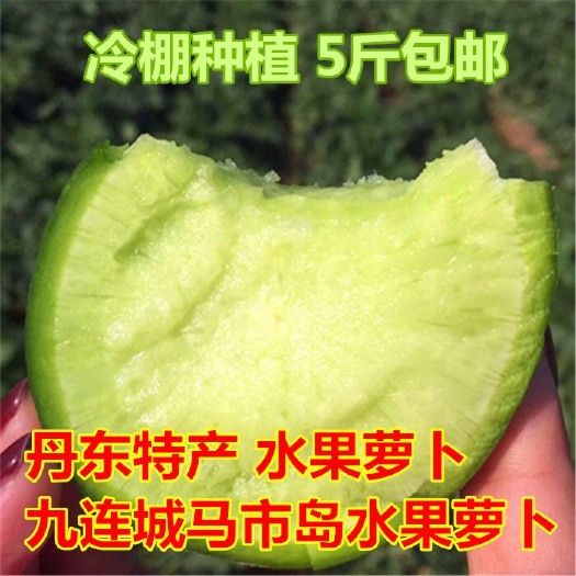东港市 丹东特产水果萝卜