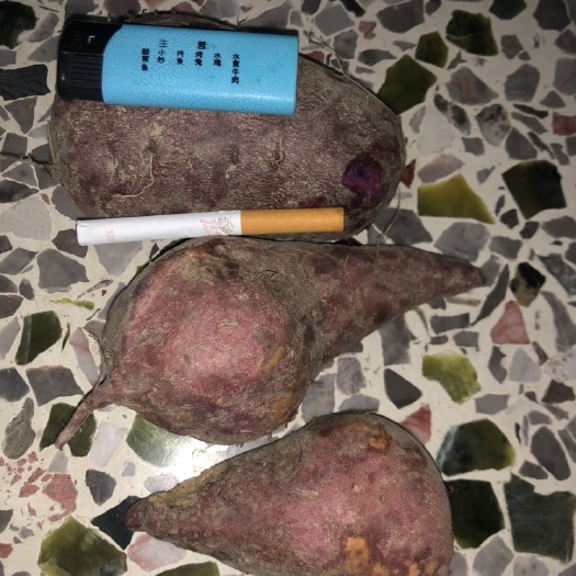 饶平县 红薯紫薯有需要的自提