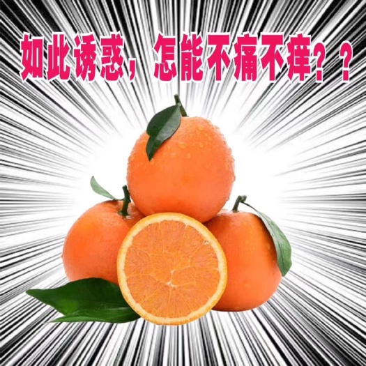 赣南脐橙 助力扶贫我们用行动来支持