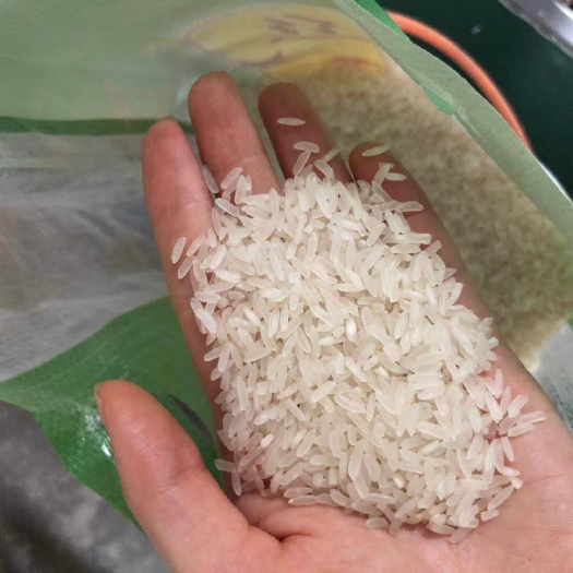 芜湖碎米 一等品 早稻 籼米