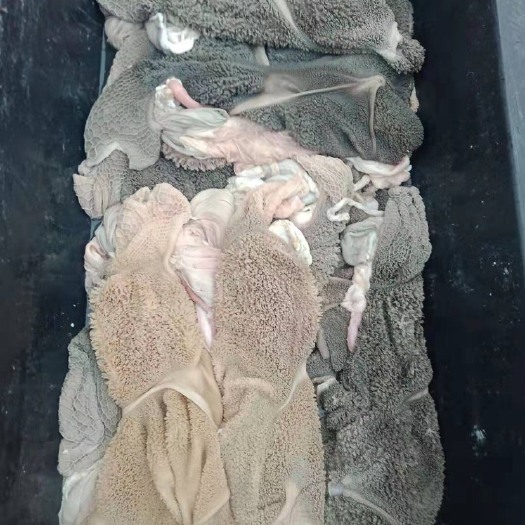 保定羊肚