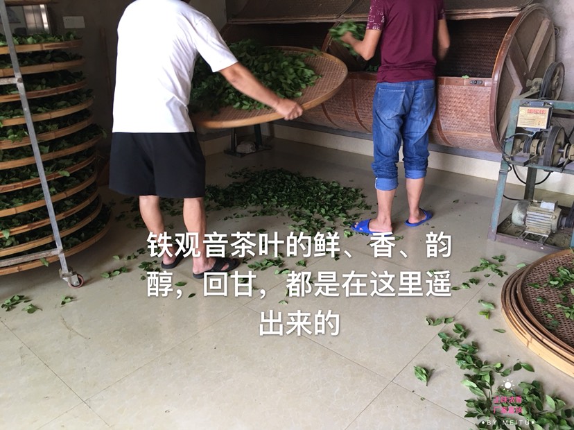 铁观音  安溪感德镇槐植正宗产地秋茶正味浓香韵味优质盒装散装