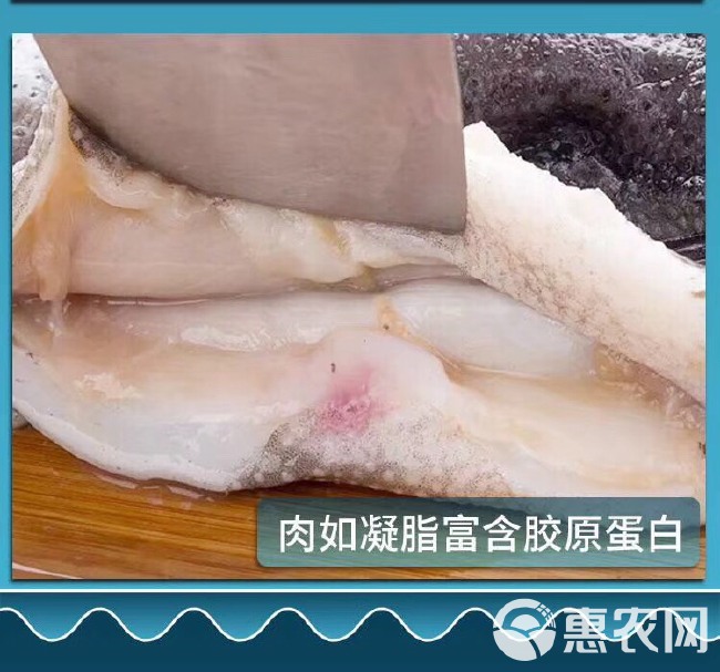 红瓜子斑  冰岛海参斑 鱼骨软脆 
含胶原蛋白 价格美丽 营养高