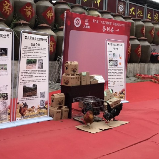 中江县 四川露腾农业有限公司     散养鸡