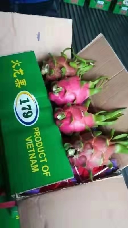 凭祥市 越南白心火龙果