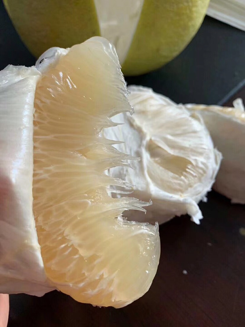 梅州梅州沙田柚金柚  一件代发5-10斤包邮，产地直供