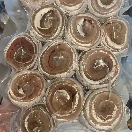 深圳 东海带鱼卷