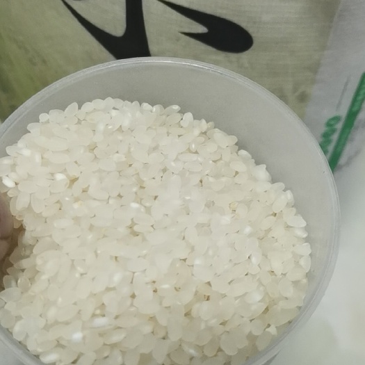 上海珍珠米 一等品 早稻 粳米