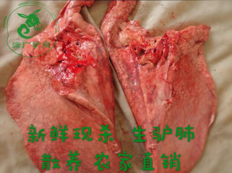 生驴肺生驴肺新鲜现杀驴肺驴下水驴杂内脏驴杂汤火烧