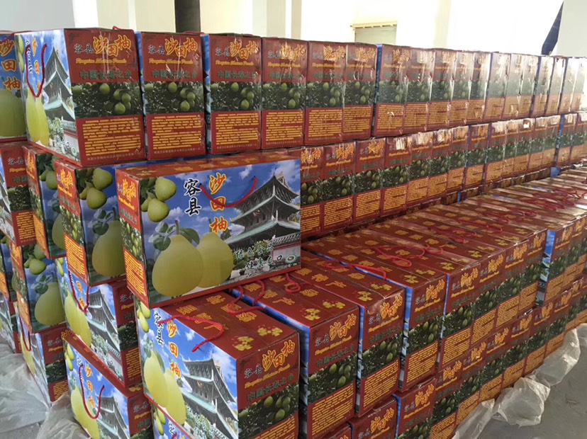  2019年正宗广西容县沙田柚开始上市了，欢迎新老客户预定。