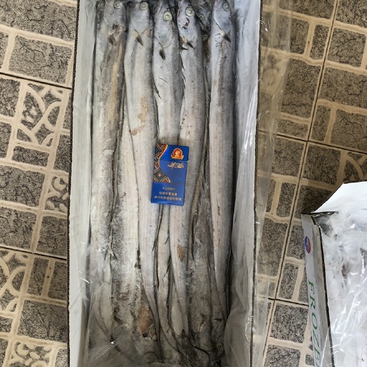 北海北部湾带鱼 出一批北部湾A带。100、200、300规格