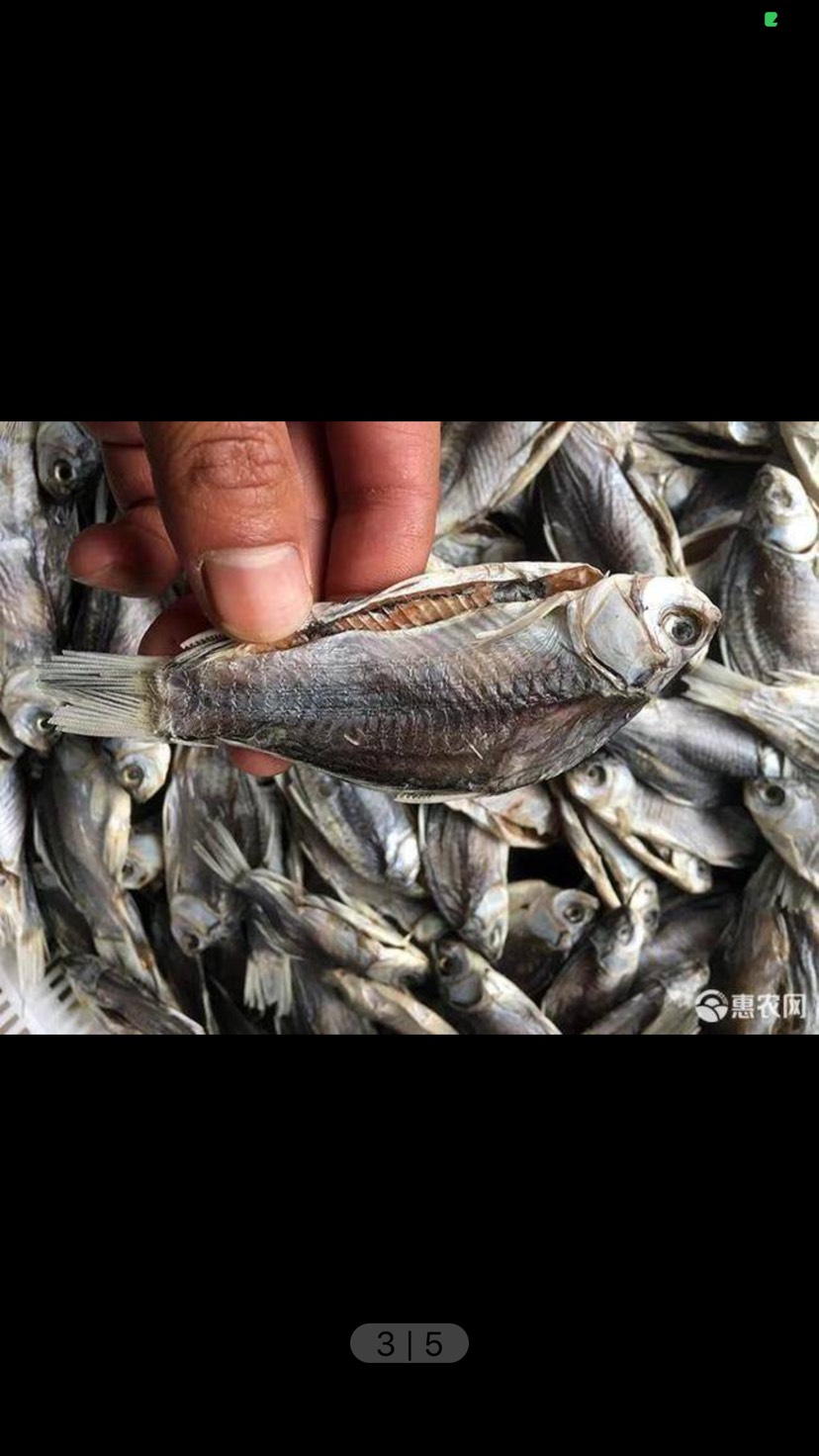 鯉魚 鯽魚干