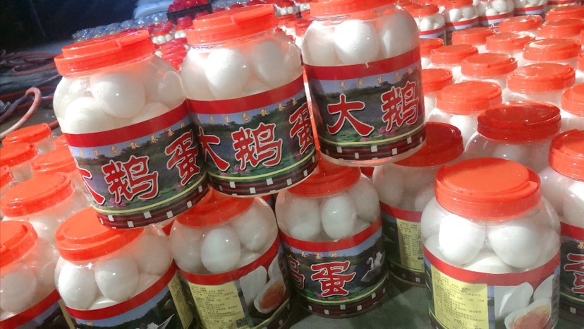 桓台县 网红大鹅蛋～新鲜货源～不缺货～货源充足～