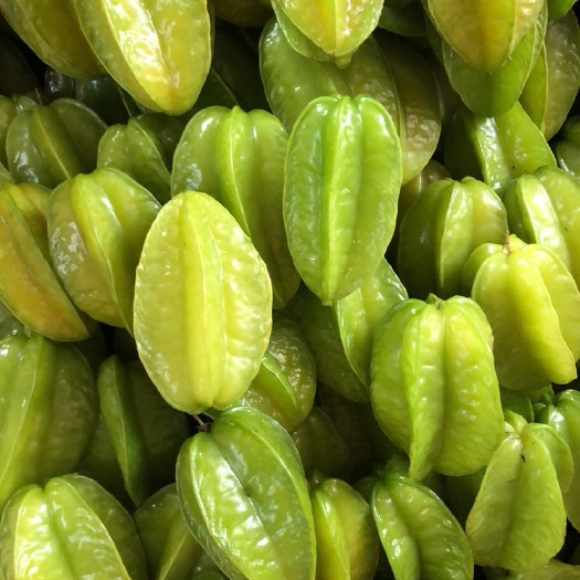 龙门县 香蜜杨桃