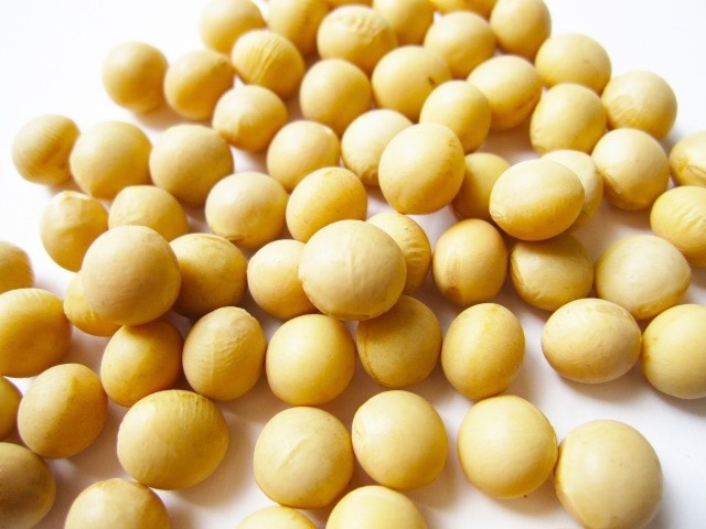 哈尔滨黑龙江大豆 生大豆 5等品