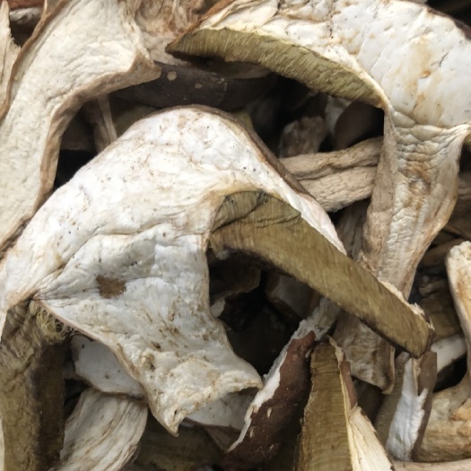 美味牛肝菌挑选货 无泥脚 无灰渣碎片 出口级 大货批发
