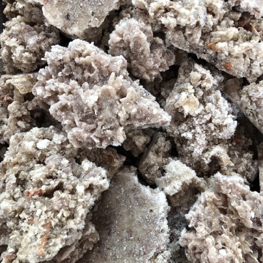 乳山市皮皮虾肉 皮皮虾碎肉  虾姑碎肉饺子馅