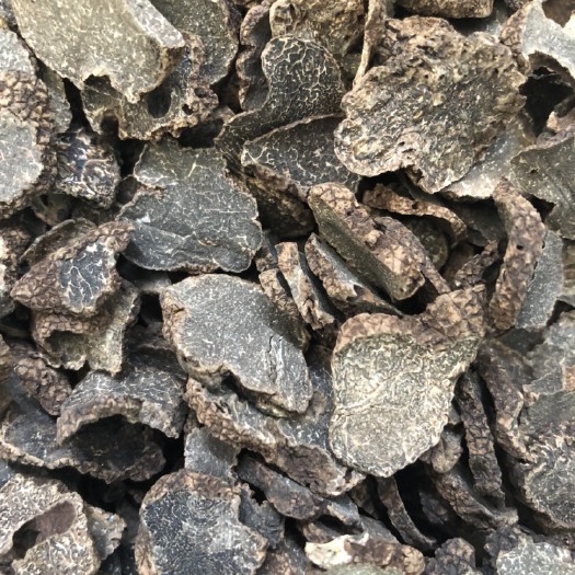 黑松露中片 母片 干货 块菌 纯黑色  产地直销  长年现