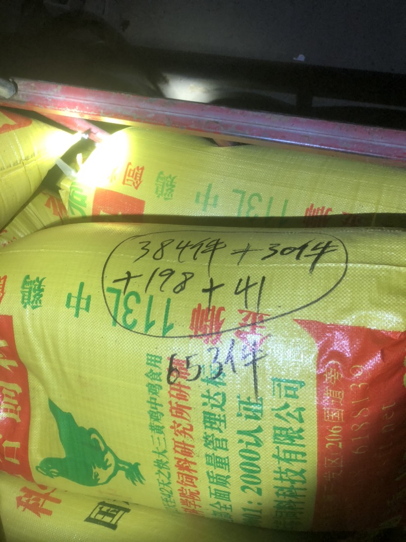 假酸浆种子  冰粉籽