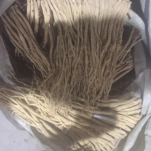 广州 党参 源头直供