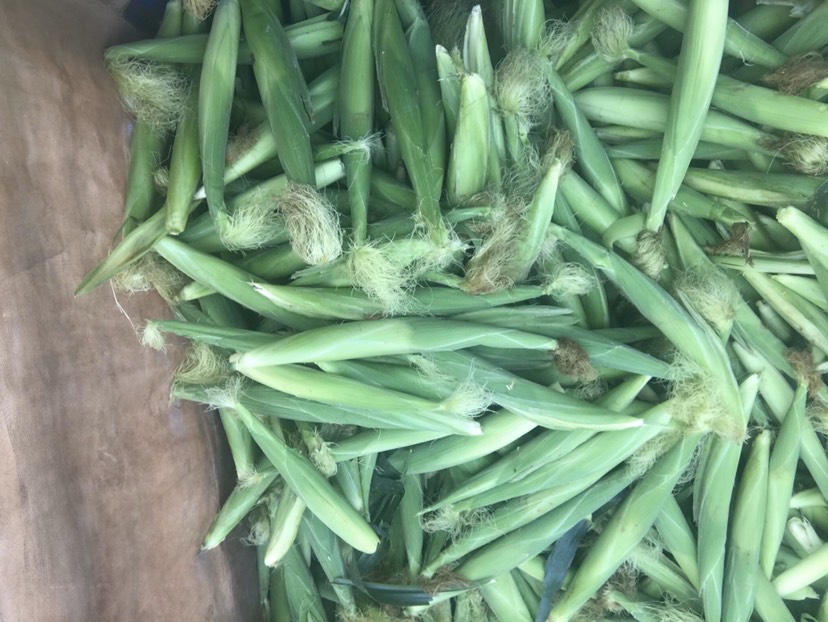  新鲜玉米笋基地直发