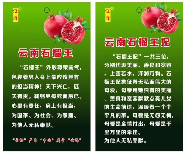 会泽县黑美人石榴苗