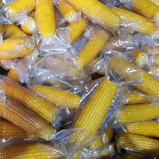 永吉县糯玉米 蔬品荟-真空玉米