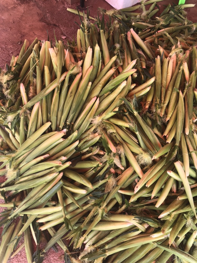  新鲜玉米笋基地直发