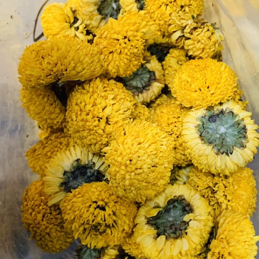  精品球菊