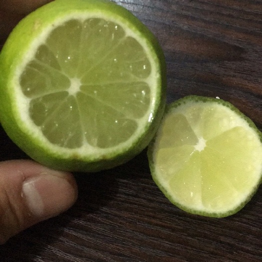 揭阳 无籽柠檬